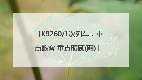 K9260/1次列车：重点旅客 重点照顾(图)