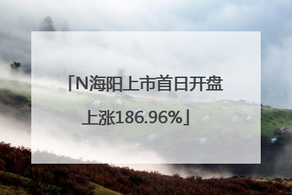 N海阳上市首日开盘上涨186.96%