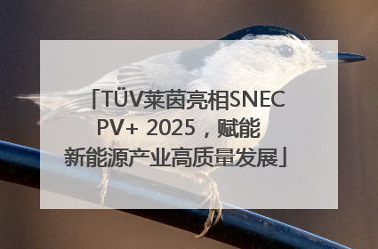 TÜV莱茵亮相SNEC PV+ 2025，赋能新能源产业高质量发展